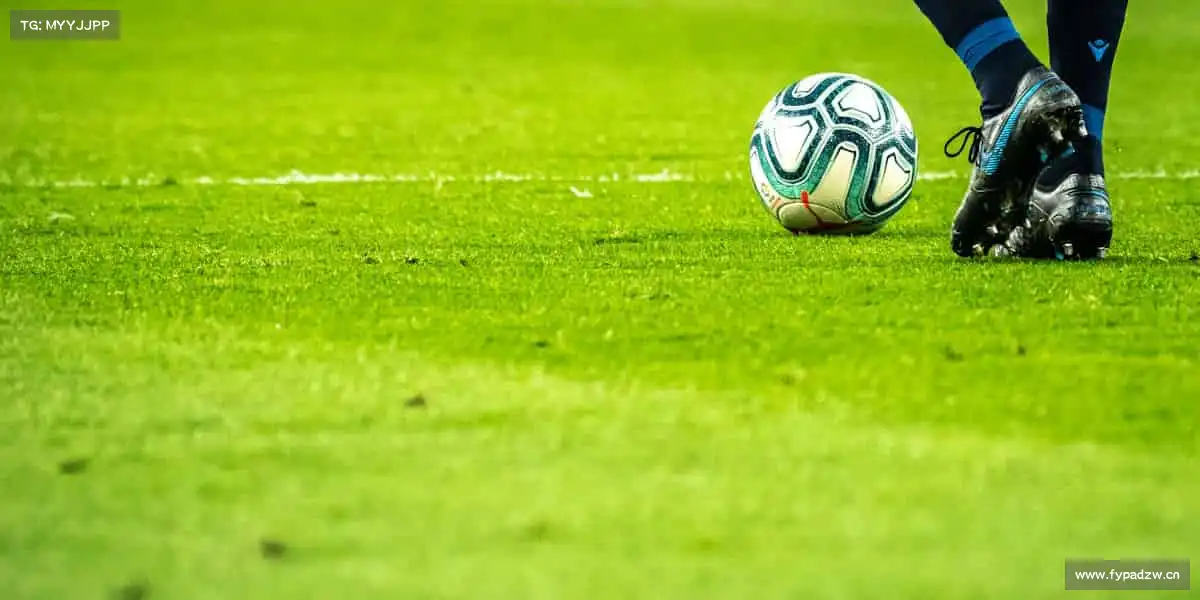 壹号娱乐🏊♀️每一次入水、起跳、冲刺,都是对自我的挑战!